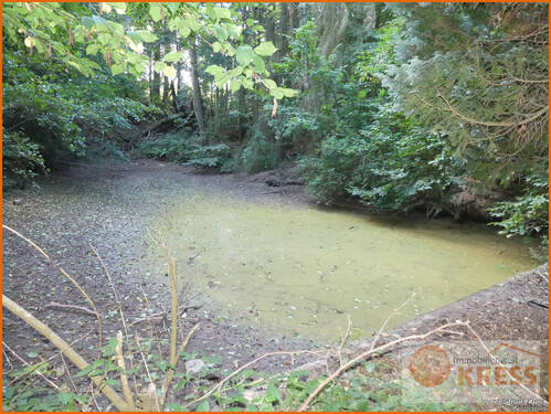 Bild 2 - Grundstück zum Kaufen in Steinau an der Straße