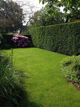Garten vorne - 