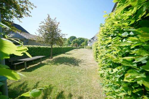 Gemeinschaftsgarten - 