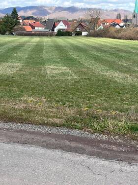 Grundstück - Grundstück in Ellrich zum Kaufen