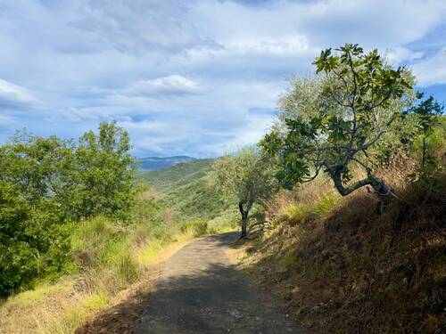 AP976_20 TERRA ITALIA IMMOBILIEN_TERRA ITALIA IMMO - 