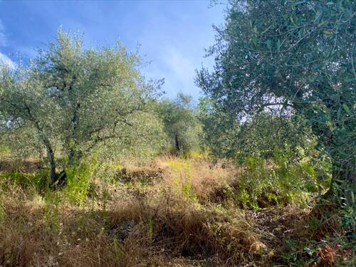 AP976_21 TERRA ITALIA IMMOBILIEN_TERRA ITALIA IMMO - 