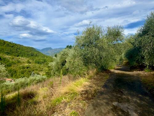 AP976_23 TERRA ITALIA IMMOBILIEN_TERRA ITALIA IMMO - 