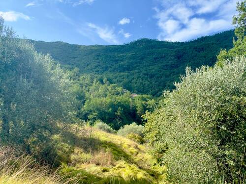 AP976_24 TERRA ITALIA IMMOBILIEN_TERRA ITALIA IMMO - 