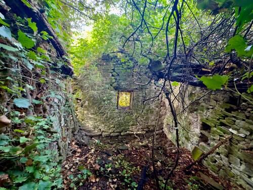 AP976_25 TERRA ITALIA IMMOBILIEN_TERRA ITALIA IMMO - 