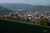 Blick auf Amorbach - Traumhaftes Grundstück in ruhiger Lage mit viel Wertsteigerungspotenzial!