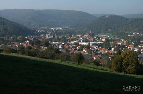 Blick auf Amorbach - Traumhaftes Grundstück in ruhiger Lage mit viel Wertsteigerungspotenzial!