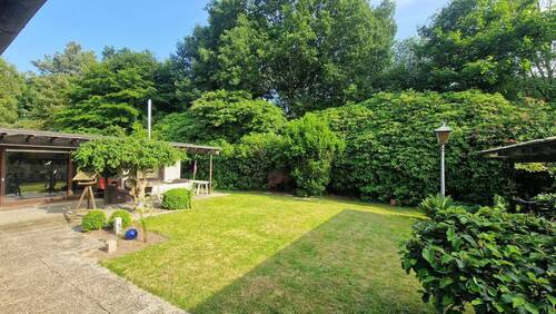 Blick in den Garten - 