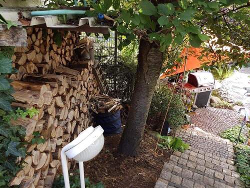Holz für den Kachelofen - 