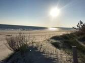 Nur wenige Meter vom Strand entfernt - 