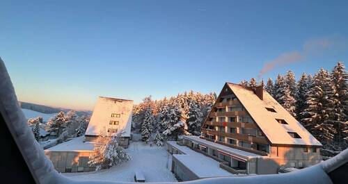 Zuhause im Schwarzwald - Whg. Ferien-Whg. _ im Schwarzwald