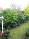 Garten-ebenso - 