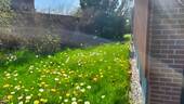 Giebel - 