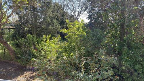Garten - 