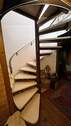 IMG_6004.jpg - 