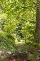 Parkgrundstück - 