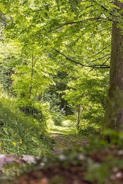 Parkgrundstück - 
