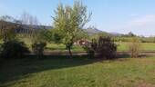DJI_0133.JPG - 