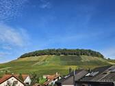 Ausblick - 4 Zimmer Doppelhaushälfte in Eberstadt