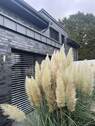 Ansicht Wintergarten - 