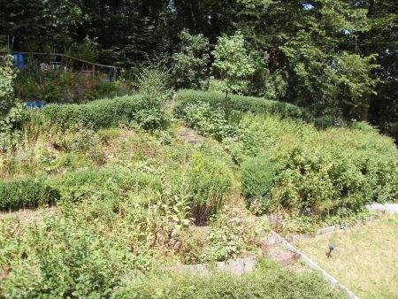 Gartenoase - 2 Zimmer Etagenwohnung zur Miete in Lüdenscheid