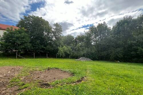 Unterer Gartenbereich - 