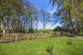 Weiden-Blick - 
