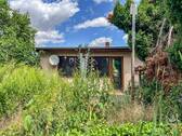 Zahlreicher Pflanzenbestand - 