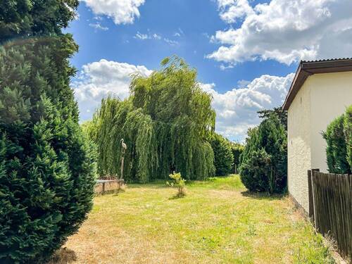 Weitläufiger Garten - 