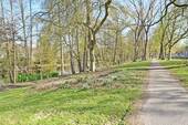 Park 2 - 3 Zimmer Etagenwohnung zum Kaufen in Hamburg / Alsterdorf
