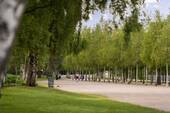 Stadtpark Norderstedt - 