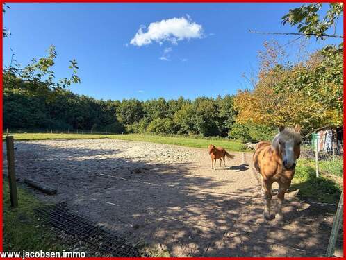 Paddock für die Pferdehaltung - 