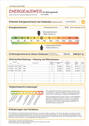 Energieausweis - 