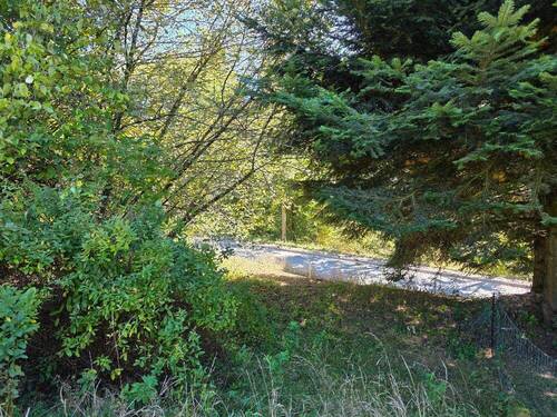 Ansicht Nord nach Süd mit Westgrenze - Grundstück in Bischofsgrün zum Kaufen