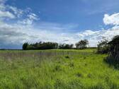 Ausblick - 