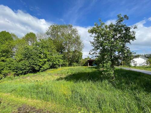 Bild 8 - 