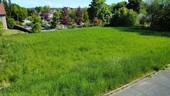 Ansicht - 