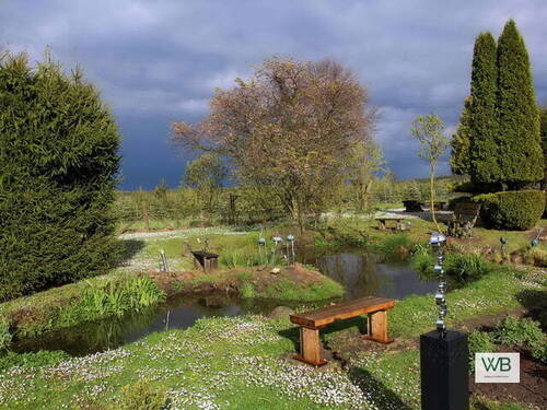 Teich - 