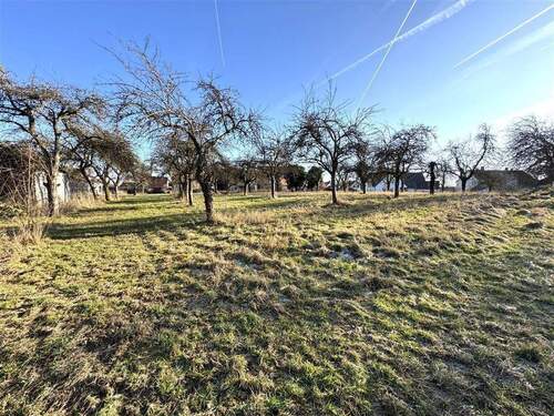 Grundstück mit Obstbäumen - 