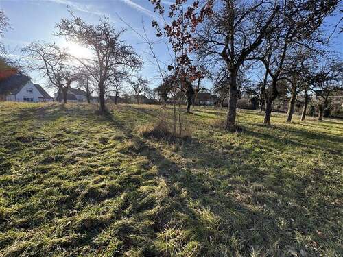Grundstück verfügt über zwei Zufahrten - 