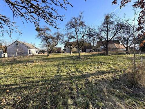 Blick auf die Hofstelle von Westen - 