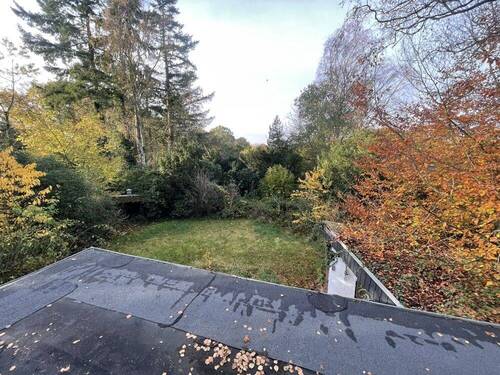 Blick in den Garten - 