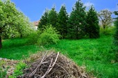 Grundstück - 