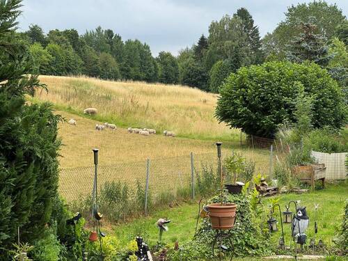 die Nachbarn - 