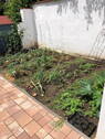 Gemüsebeete / Blumenwiese - 