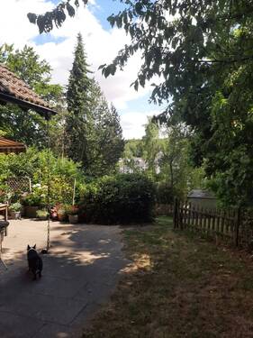 PHOTO-2025-07-11-16-44-35.jpg - Einfamilienhaus in Stromberg zum Kaufen