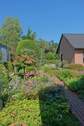 Blick in den gestalteten Garten - 