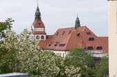 Zooblick - 