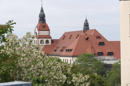 Zooblick - 