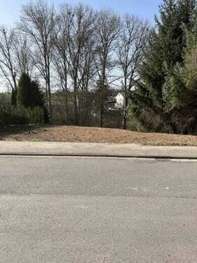 Straßenansicht - Grundstück zum Kaufen in Heusweiler
